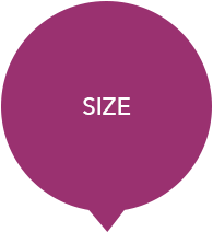 Capabilities-Executive-icons-Size-1b